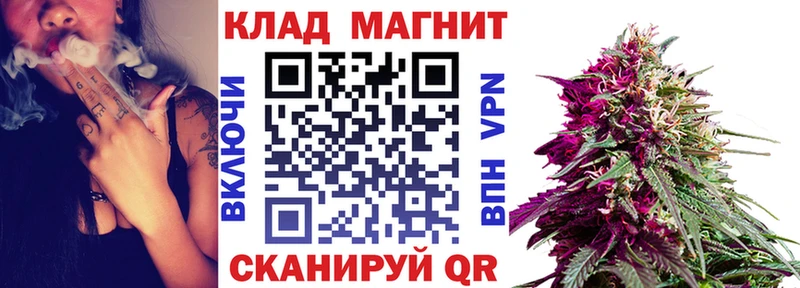 Наркотические вещества Новозыбков blacksprut ссылки  Мефедрон  Alpha PVP  Псилоцибиновые грибы  ГАШ  Марихуана 