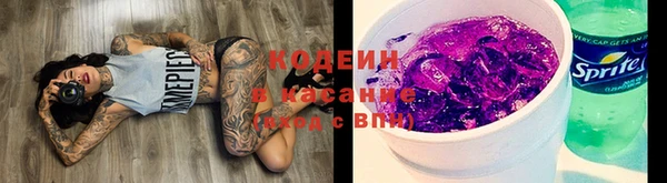 PSILOCYBIN Осташков