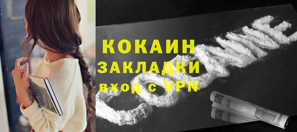 тгк Няндома