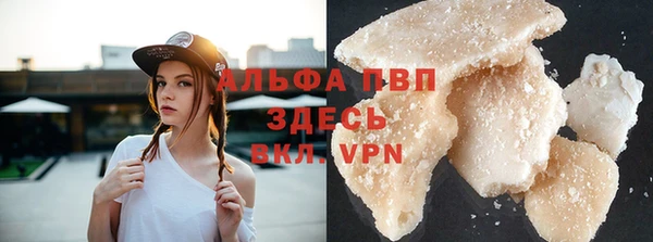 PSILOCYBIN Осташков