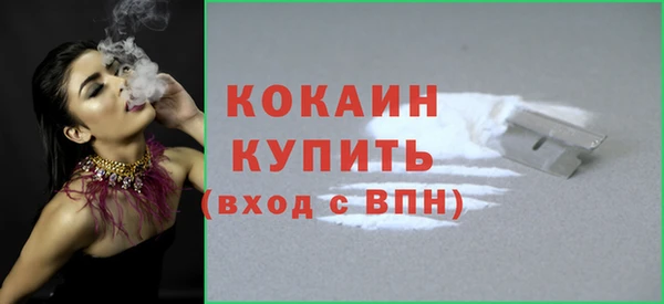 PSILOCYBIN Осташков