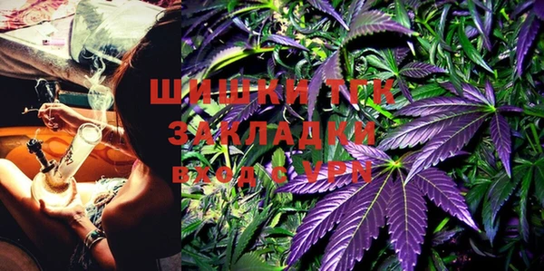 PSILOCYBIN Осташков