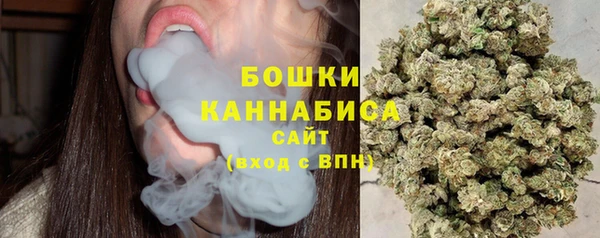 PSILOCYBIN Осташков