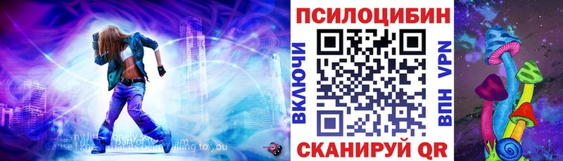 Псилоцибиновые грибы Cubensis  shop наркотические препараты  Новозыбков  цены  