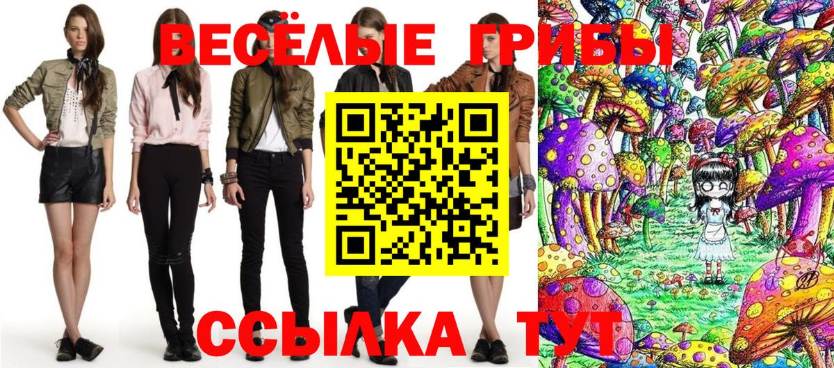 Псилоцибиновые грибы Psilocybine cubensis Новозыбков