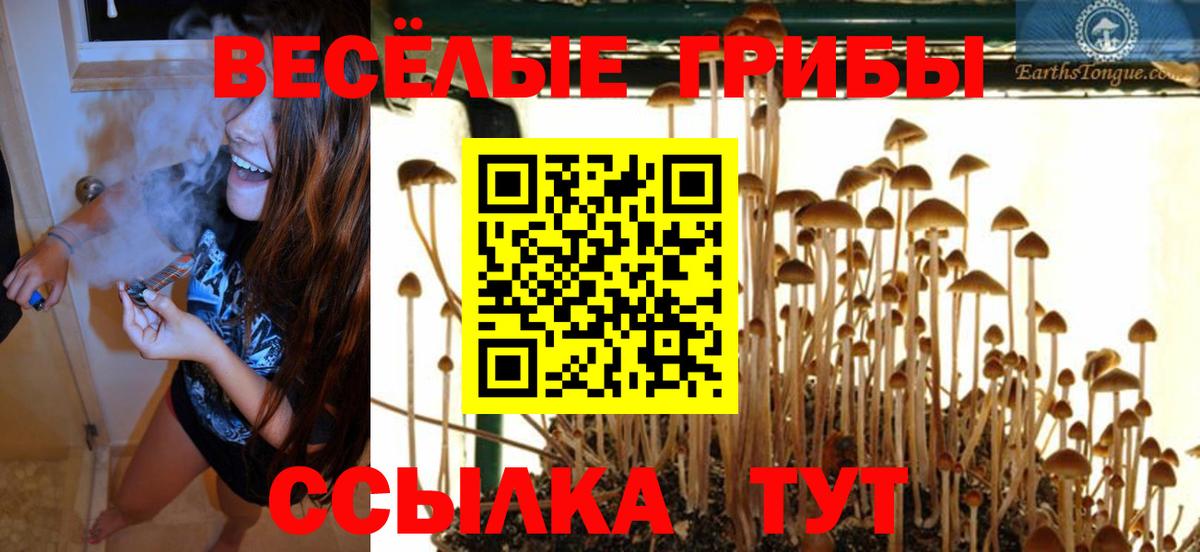 Галлюциногенные грибы мицелий Новозыбков