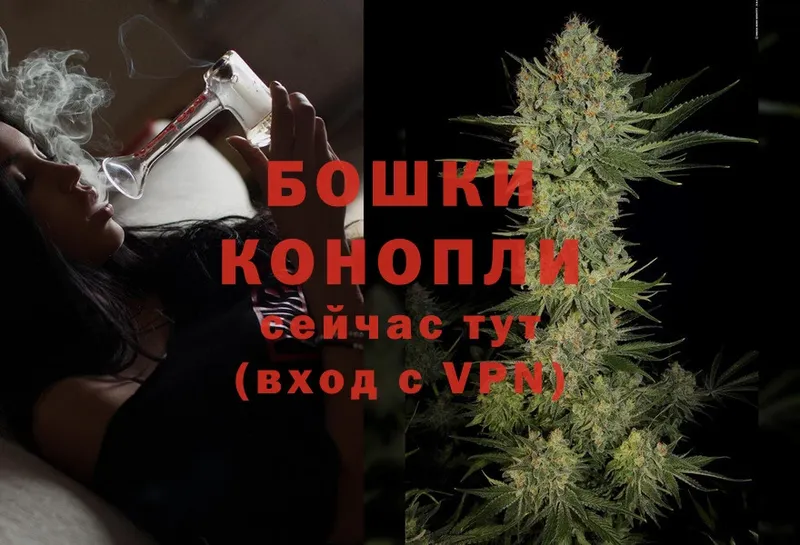 ОМГ ОМГ онион  Новозыбков  МАРИХУАНА SATIVA & INDICA 