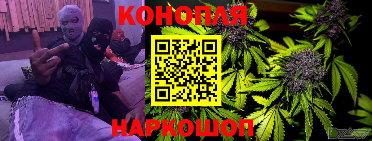 Каннабис план  Шишки марихуана THC 21%  МАРИХУАНА Amnesia  Новозыбков 